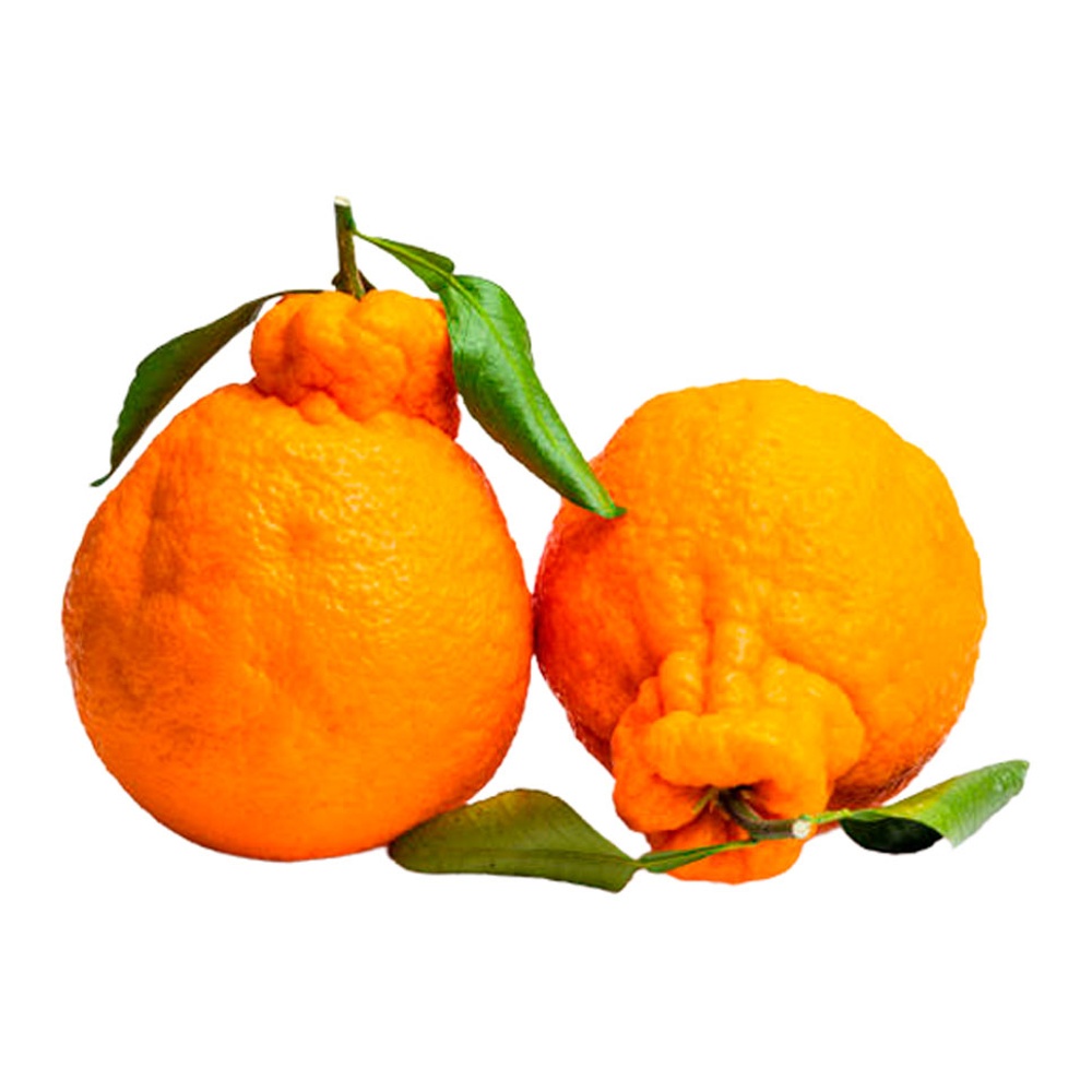 Мандарины Китай вес