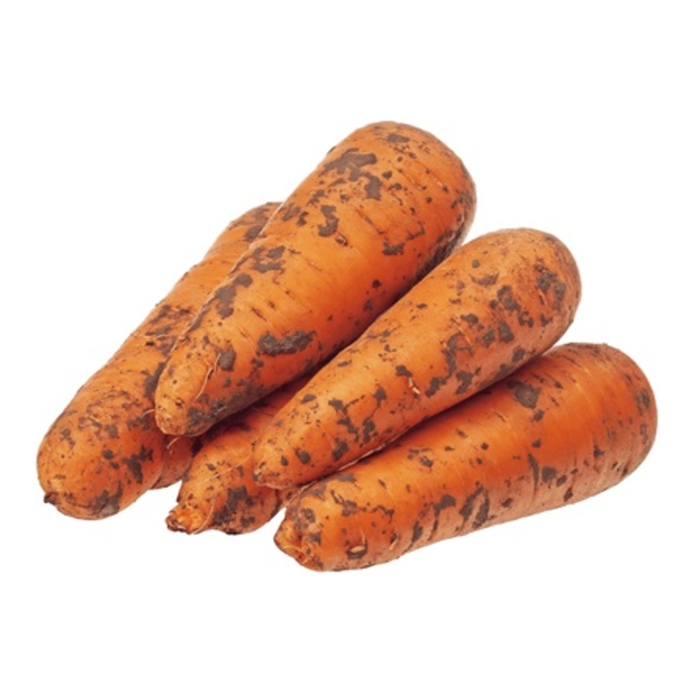 Морковь немытая вес