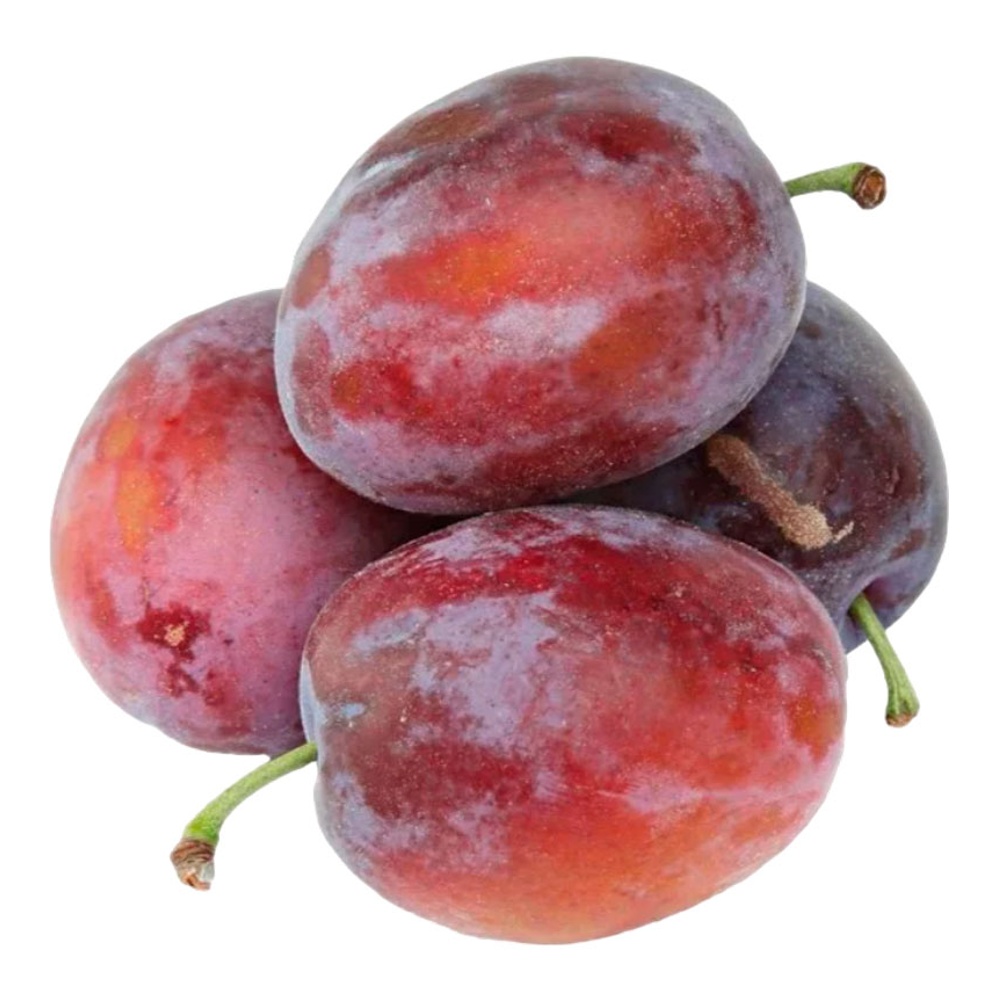 Слива Испанка Средняя Азия вес