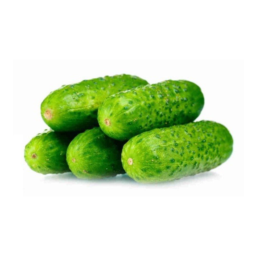 Огурец короткоплодный 450г подложка