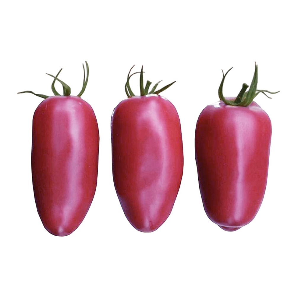 Помидоры Дамские пальчики розовые вес