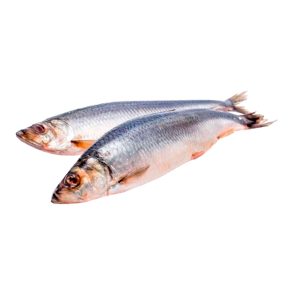Сельдь тихоокеанская с/м 27+ вес