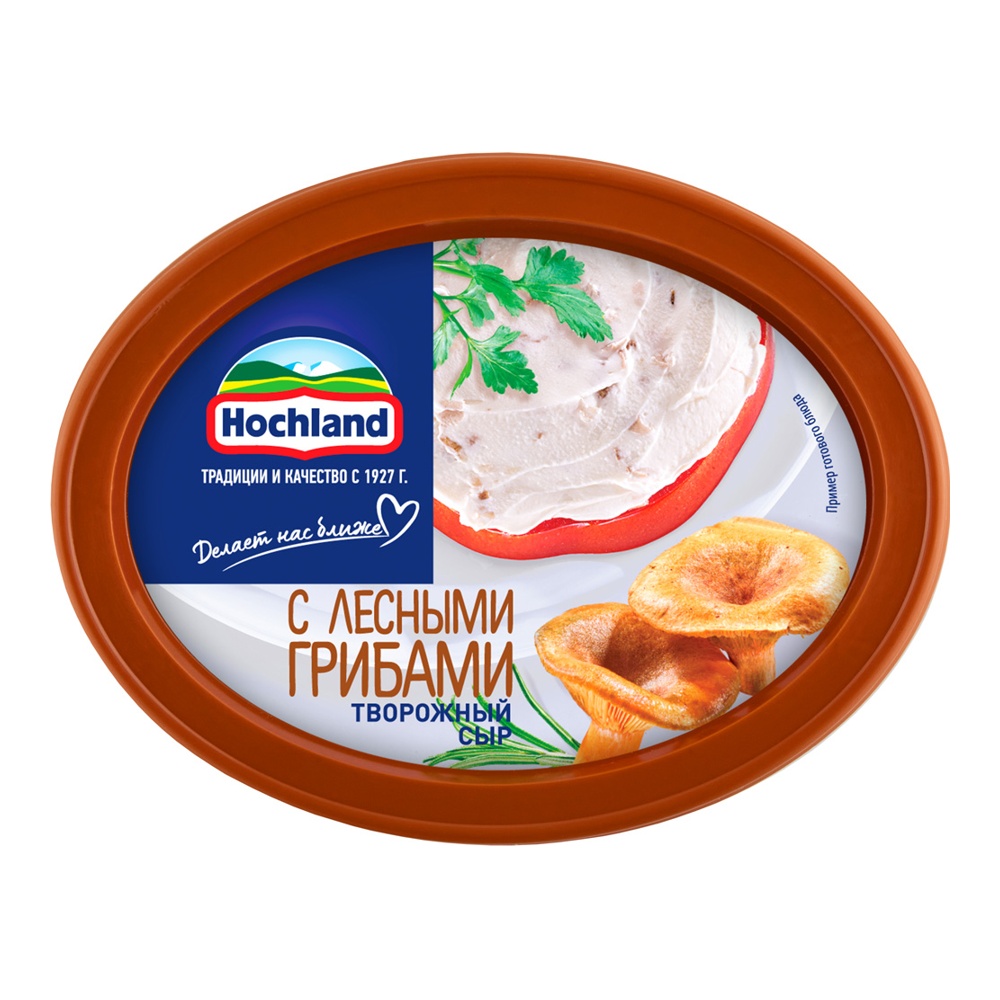 Сыр Хохланд творожный с лесными грибами 60% 140г ванночка