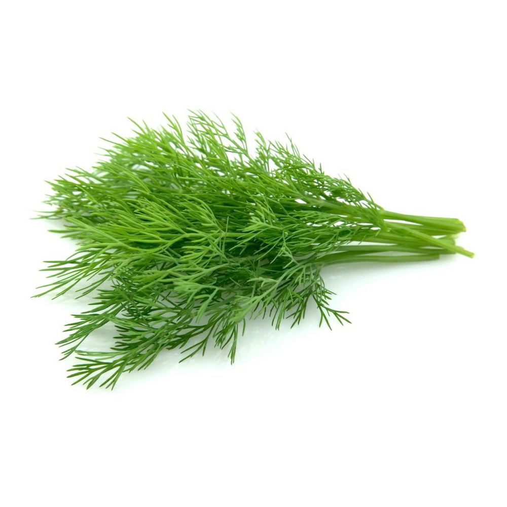 Укроп 100г Фортуна