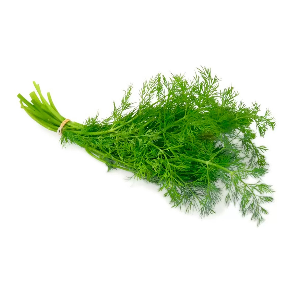 Укроп 50г Солнечный берег