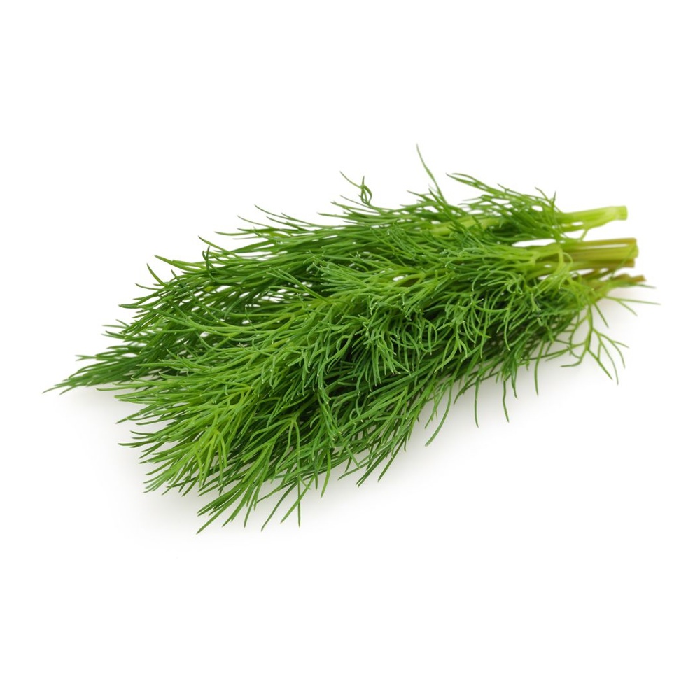 Укроп свежий 100г Лотос