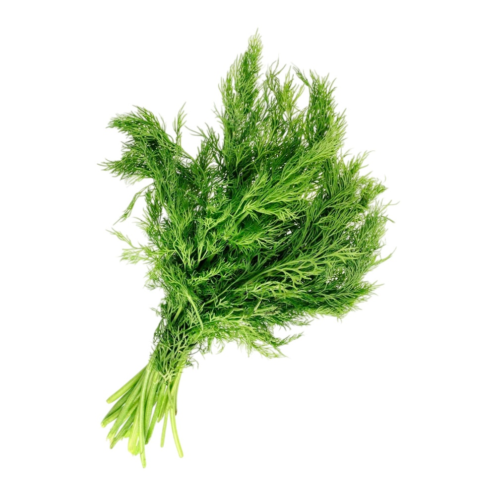 Фенхель 1кг