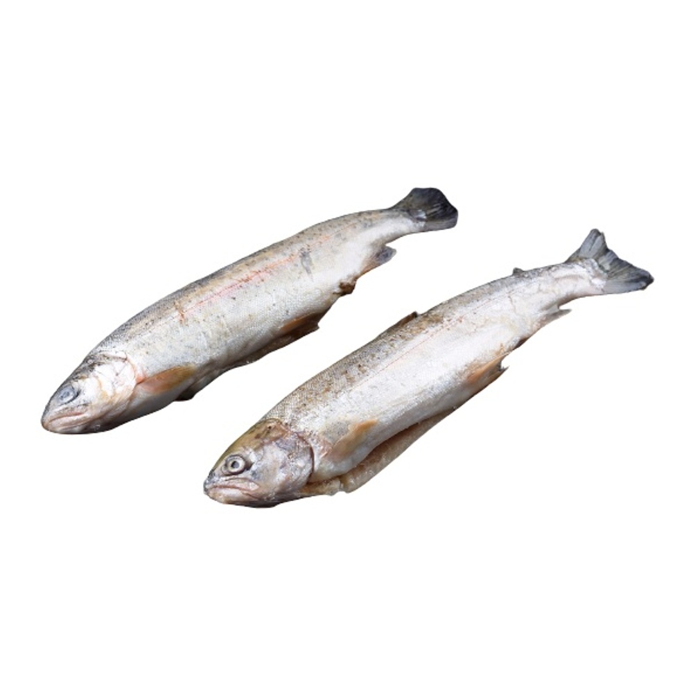 Форель речная охлажденная вес Елисей