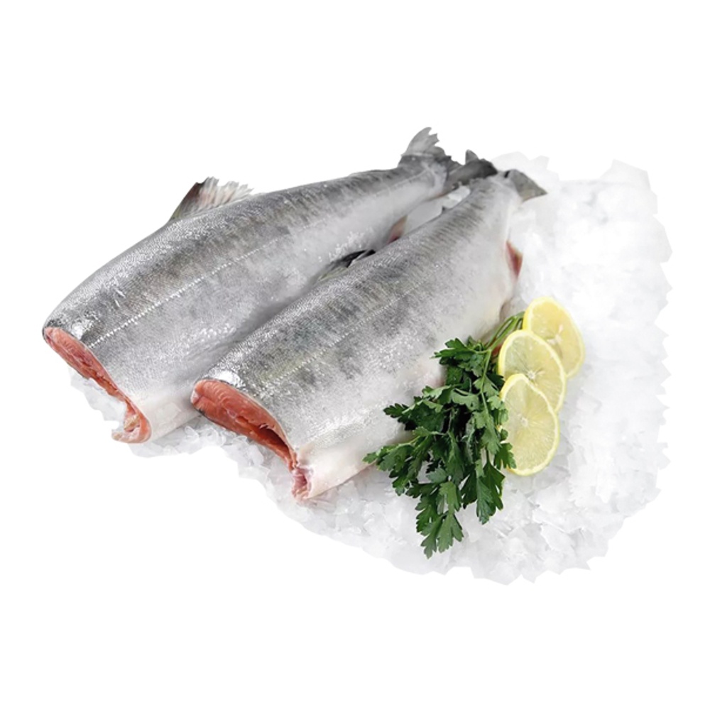 Форель морская с/м б/г 1-2 вес