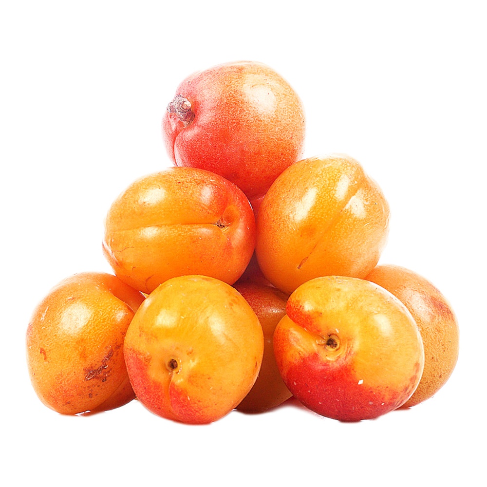 Абрикос Юбилейный вес Средняя Азия