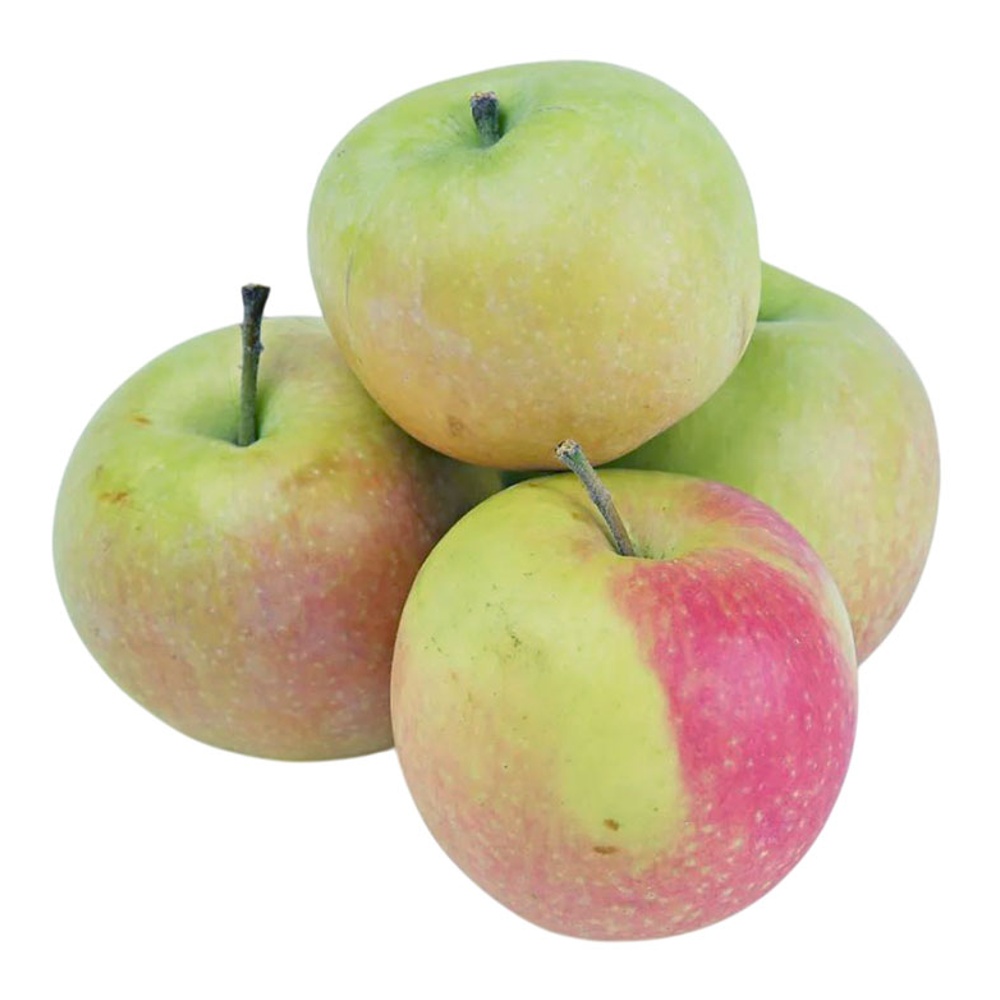 Яблоки Пирос 65+ вес Краснодар