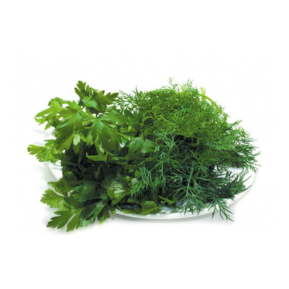 Ассорти салатное (укроп, петрушка, кинза) 80г Фортуна