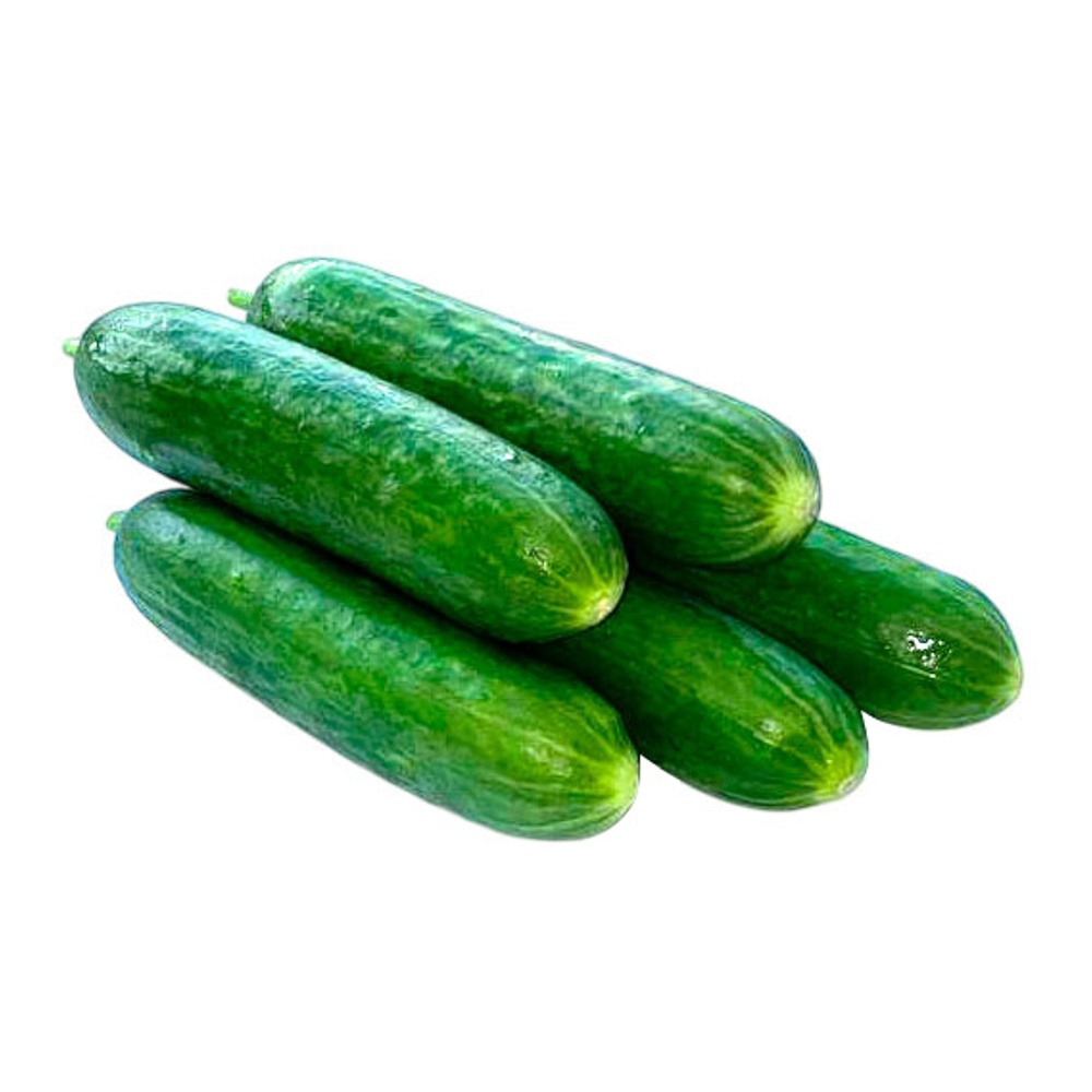 Огурец Ботаника 420г