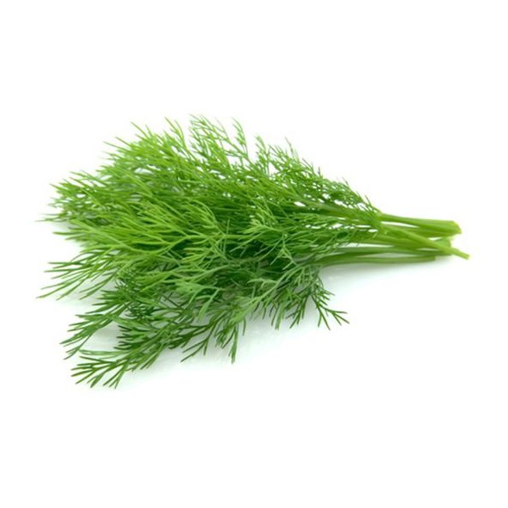 Укроп 50г Багира