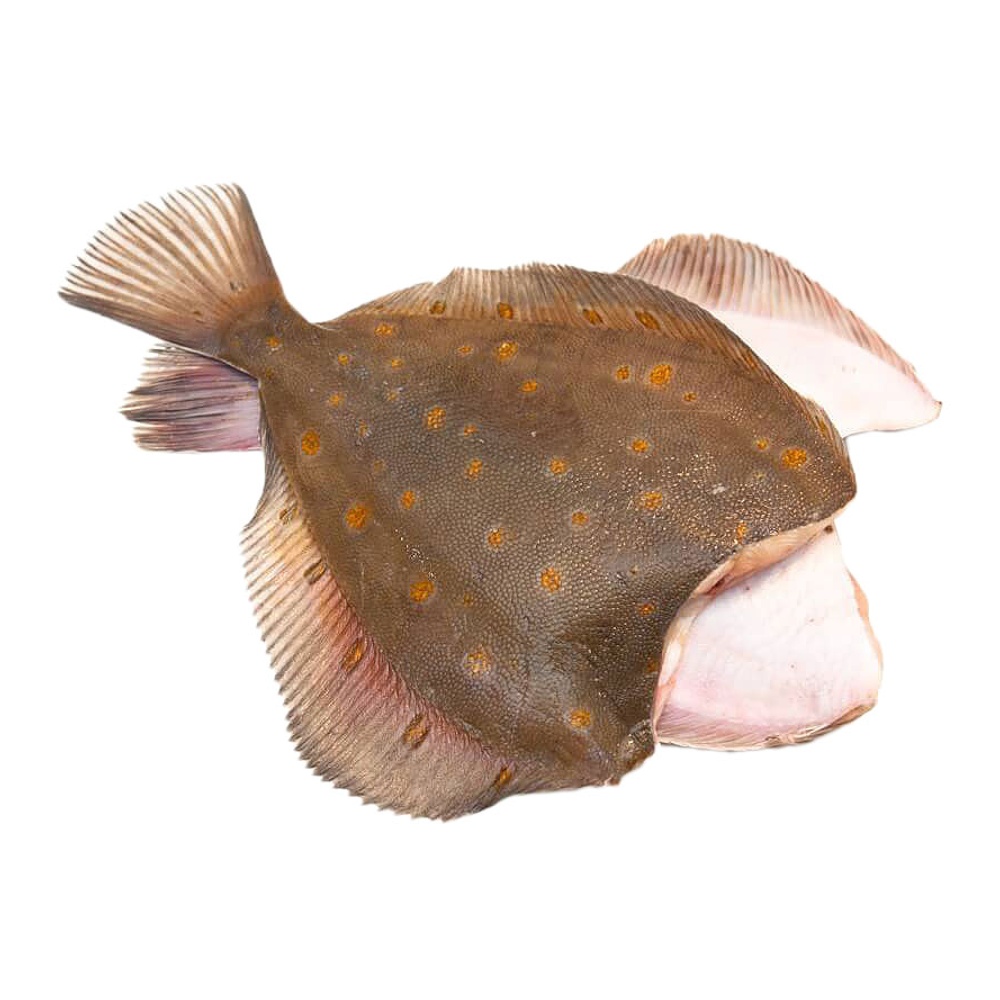 Камбала дальневосточная с/м неразделанная 21-25 вес