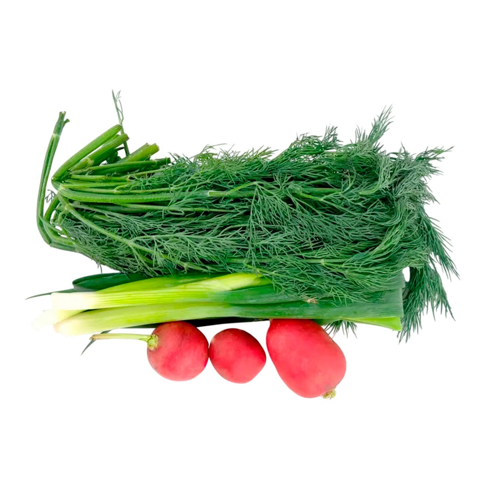 Набор овощной (укроп, лук, редис) 200г ЗеЛёнка