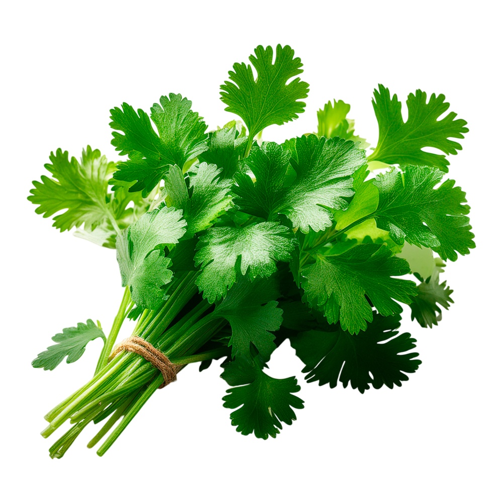 Кинза 50г ГринЛайф