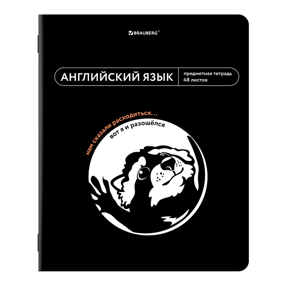 Тетрадь 48л клетка Мемы. Английский язык, твин лак, подсказки Брауберг 405096