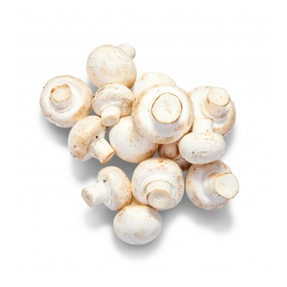 Грибы Шампиньоны белые свежие 300г