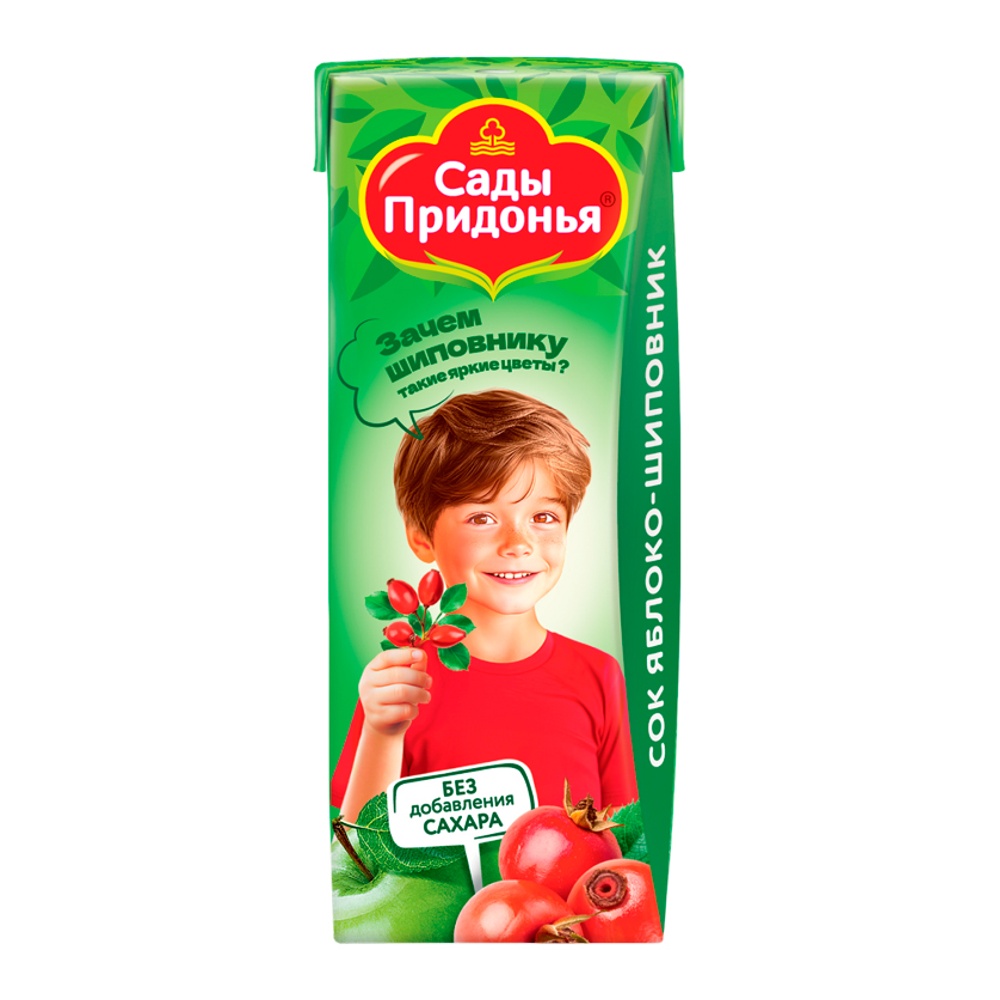Дет пит Сады Придонья Сок яблочно-шиповниковый с 6мес 0,2л т/п