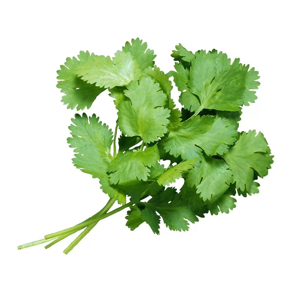 Кинза 50г Здоровый рацион